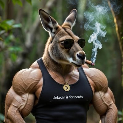 TheSalesRoo's profile picture