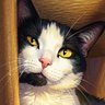 Profilbild von Ms. J