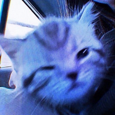 GRojito0's profile picture