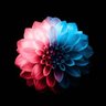 Ivy Arunan profil fotoğrafı