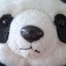 Profilbild von あんこう