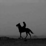 qutaiba promo's profile picture