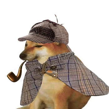 pipedog's profile picture