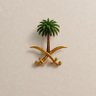 🇸🇦 waleed al essa 的头像