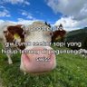 reky profil fotoğrafı