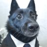 mi$ter bouncer cam profil fotoğrafı