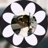 tomartigence✿ꕤ♡♪♫ 🏄♂️ Surfin' Boy's profile picture
