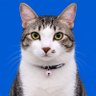Profilbild von YP