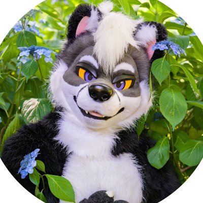 やまちゃ@FurEast's profile picture