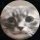 Profilbild von n073n0u9h