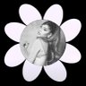 𝓌 𝒾 𝓁𝓁 𝒾𝒶 𝓂 ꕤ ♡'s profile picture