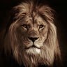 الشاهد's profile picture