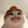 ARGK4T's profile picture