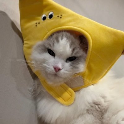 porche1807's profile picture