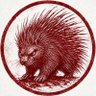 Alborracho 🇪🇨 🦔 profil fotoğrafı