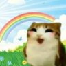 Profilbild von Elena cool cat