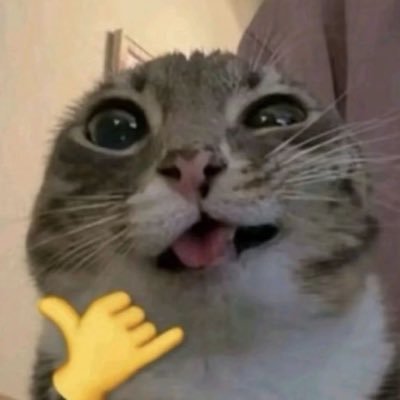 ออมมมุกกกกก🩵(ตอบแค่คนเข้าแอ็ค)'s profile picture