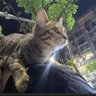 咸鱼 profil fotoğrafı