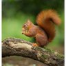 Фото профиля Karakartal 0014