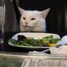 Profilbild von AltoGatito