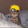 Minato 🦸🏻♂️'s profile picture