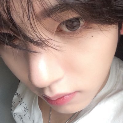 shbinist's profile picture