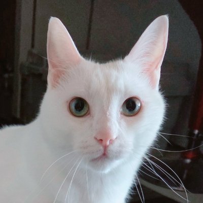 koujun08110202's profile picture