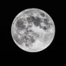 DANIEL's profile picture