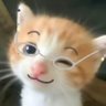Lna honey(八爪鱼🦑中) profil fotoğrafı