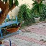 Sandeep soni profil fotoğrafı