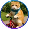 ヌッコ♂競輪予想's profile picture