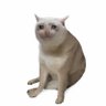 Profilbild von Juls