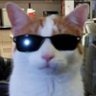 Profilbild von prince walter