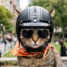 Profilbild von 猫丸 無党派満喫中😁