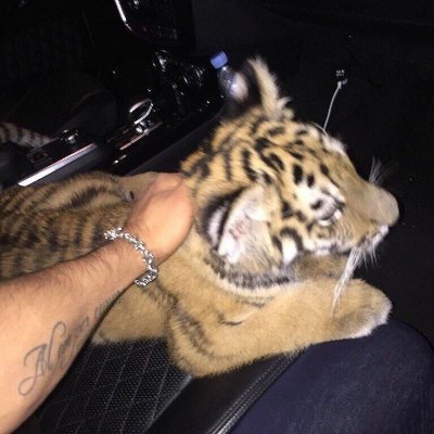 txbrraa's profile picture