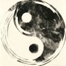Profilbild von 风雷地天
