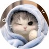 Namun Meow's profile picture