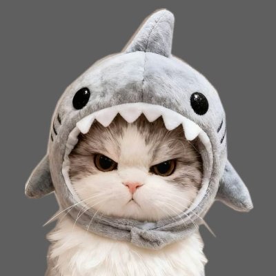 hoa's profile picture