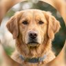 José Sidnei's profile picture