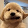 — 𝕎𝕐 ꕥ profil fotoğrafı
