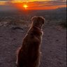 Gill Thelander. profil fotoğrafı