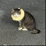 Profilbild von ããŒã