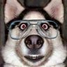 Ra_Bies 4.0's profile picture
