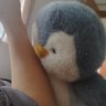 lin_08's profile picture