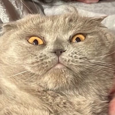 𝓴ʎtt🫶🏼's profile picture