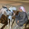 سيف بن سلمان's profile picture