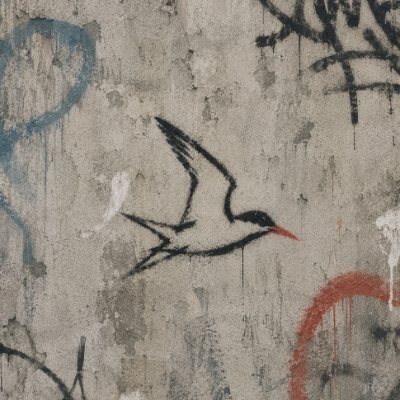 tern's profile picture