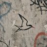 Profilbild von tern