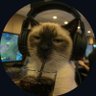 Profilbild von shreya_vx
