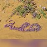 حصوص's profile picture